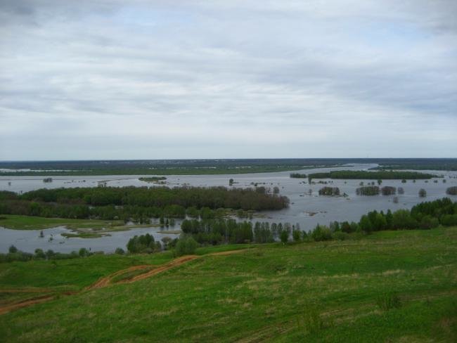 Весенний разлив реки Ока в Венцовских лугах