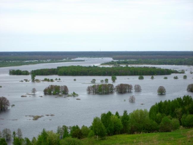 Весенний разлив реки Ока в Венцовских лугах